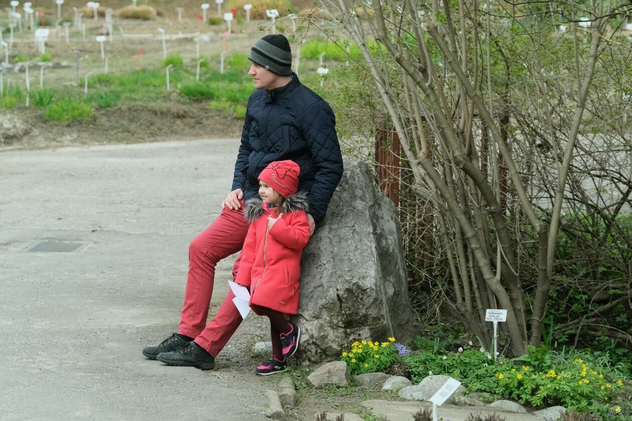  Ogród Botaniczny UMCS już otwarty dla zwiedzających (zdjęcie 35) - Autor: Maciej Kaczanowski