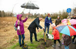 Zamość się zazieleni - akcja sadzenia drzew nad rzeką Łabuńką (zdjęcie 4)