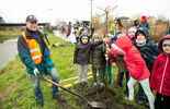 Zamość się zazieleni - akcja sadzenia drzew nad rzeką Łabuńką (zdjęcie 5)