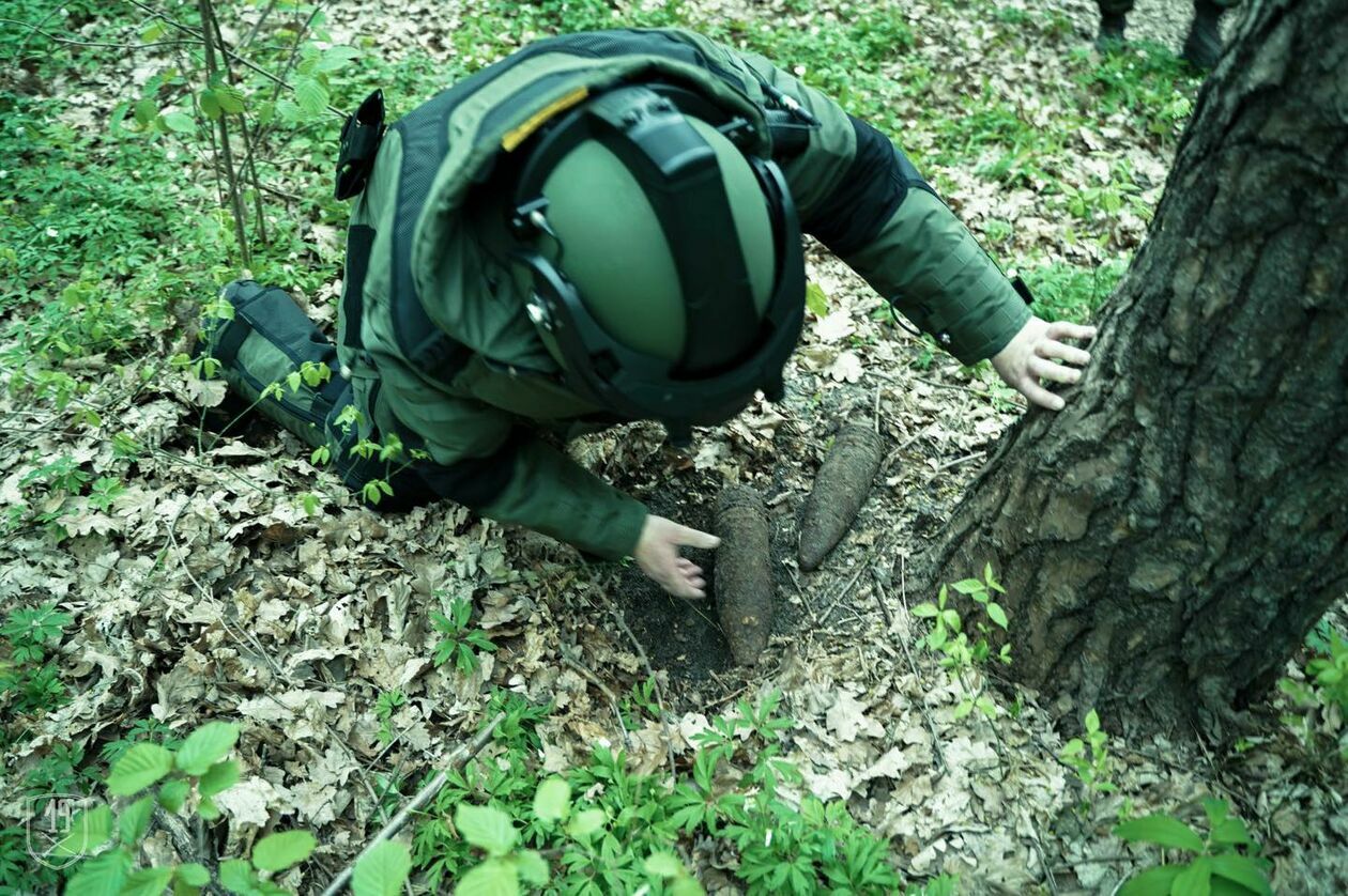  Interwencja patrolu saperskiego z 19 Lubelskiej Brygady Zmechanizowanej (zdjęcie 4) - Autor: 19 Lubelska Brygada Zmechanizowana/Facebook