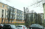 Zniszczone drzewa przy ul. Kosmowskiej w Lublinie (zdjęcie 2)