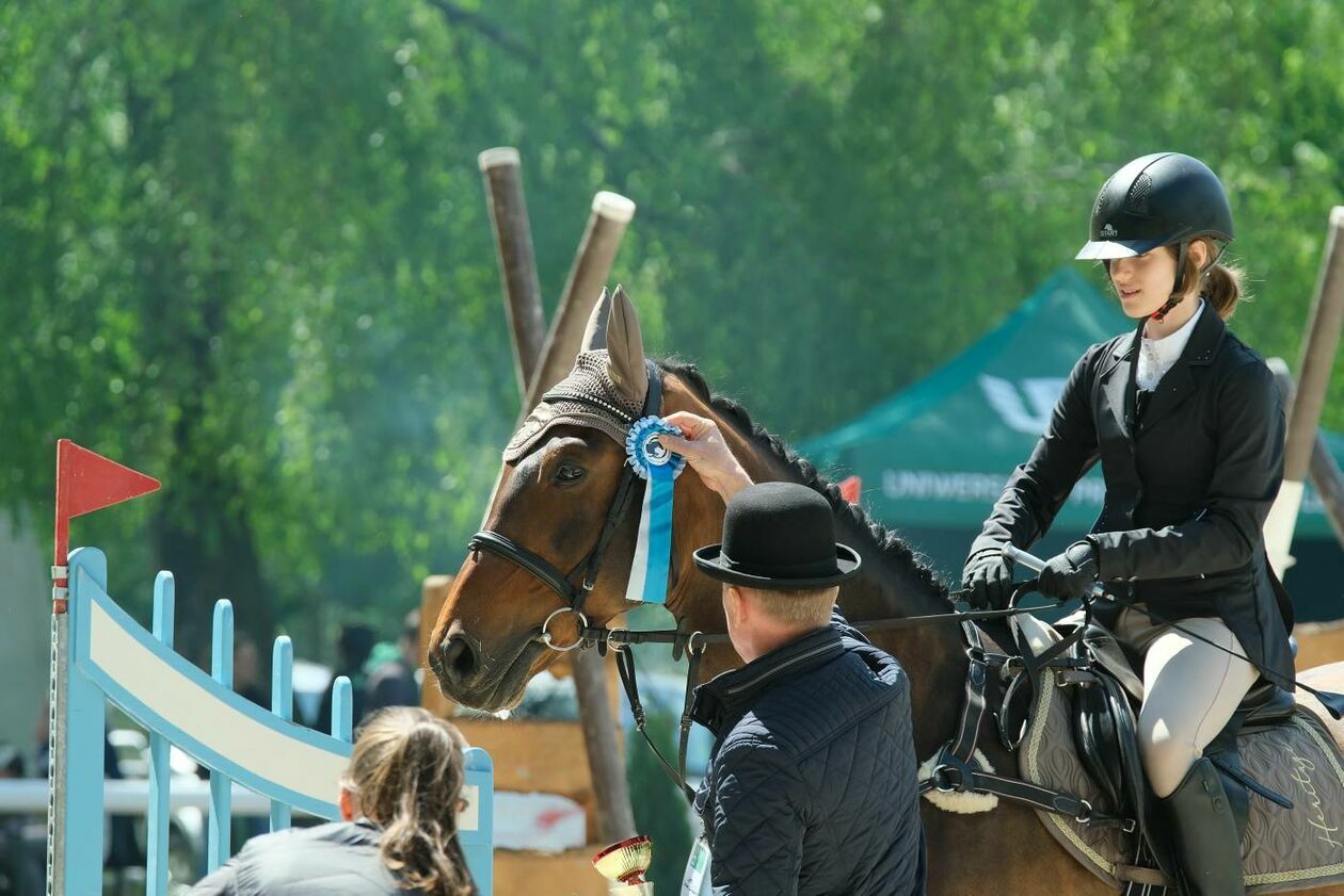  XVII Akademickie Mistrzostwa Województwa Lubelskiego w Skokach przez Przeszkody (zdjęcie 28) - Autor: Maciej Kaczanowski