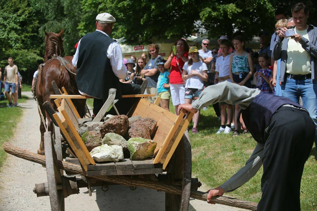  Koński targ w Muzeum Wsi Lubelskiej (zdjęcie 16) - Autor: Piotr Michalski