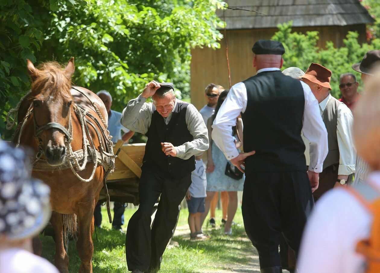  Koński targ w Muzeum Wsi Lubelskiej (zdjęcie 8) - Autor: Piotr Michalski