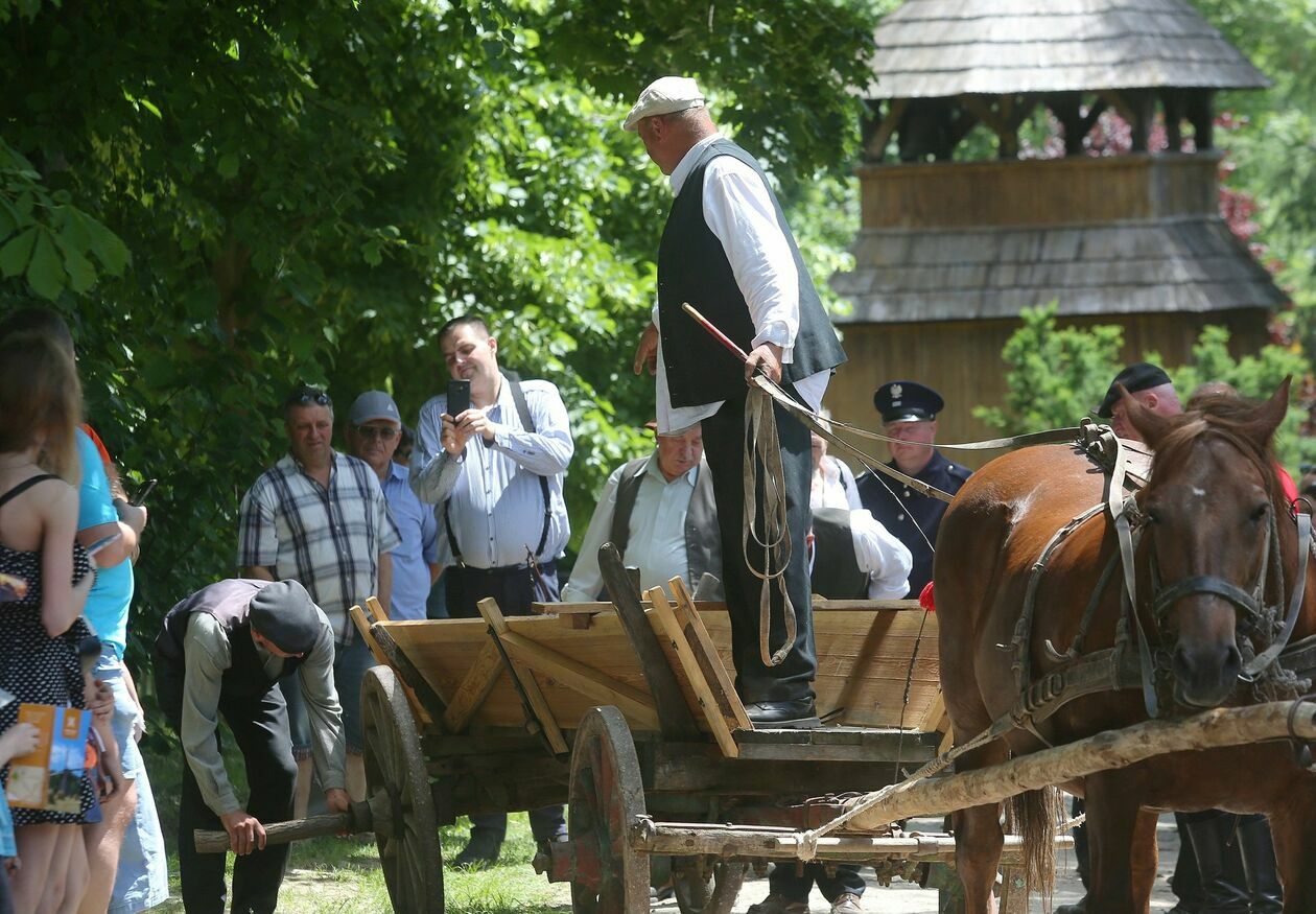  Koński targ w Muzeum Wsi Lubelskiej (zdjęcie 13) - Autor: Piotr Michalski