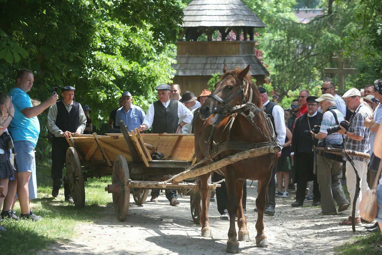  Koński targ w Muzeum Wsi Lubelskiej (zdjęcie 12) - Autor: Piotr Michalski