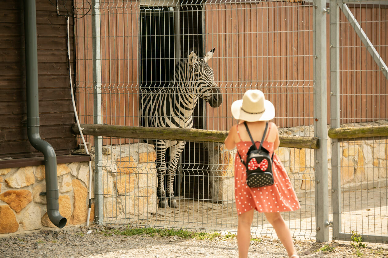  Ogród Zoologiczny w Zamościu (zdjęcie 1) - Autor: Kazimierz Chmiel