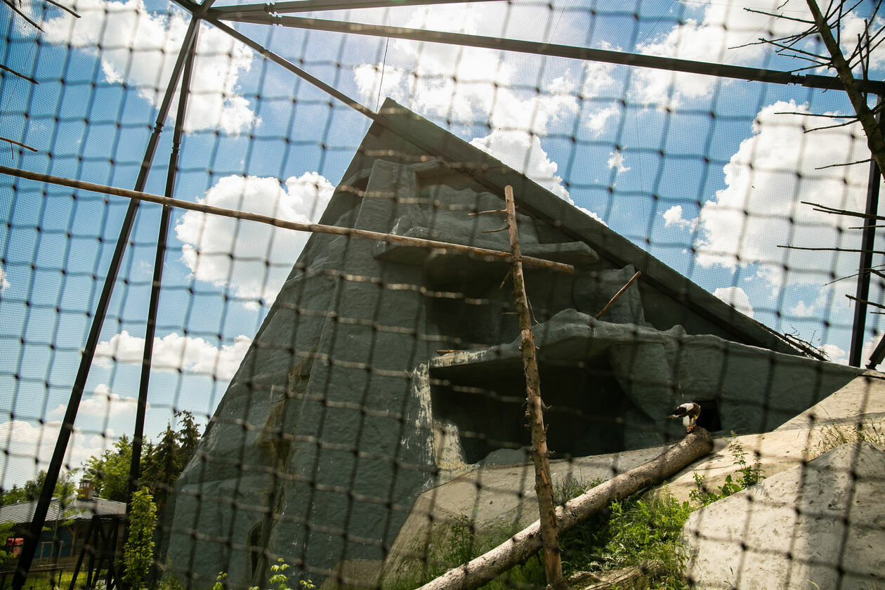  Ogród Zoologiczny w Zamościu (zdjęcie 1) - Autor: Kazimierz Chmiel