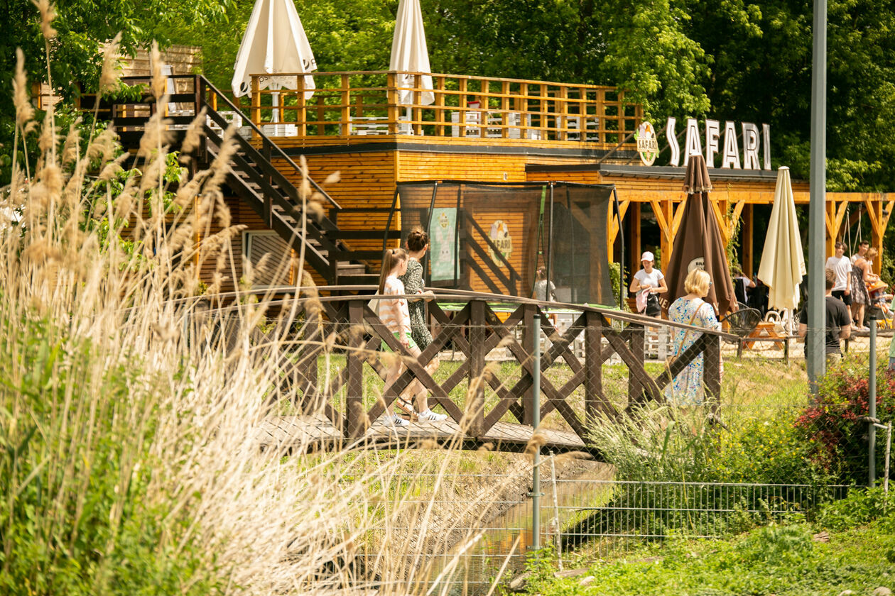  Ogród Zoologiczny w Zamościu (zdjęcie 1) - Autor: Kazimierz Chmiel