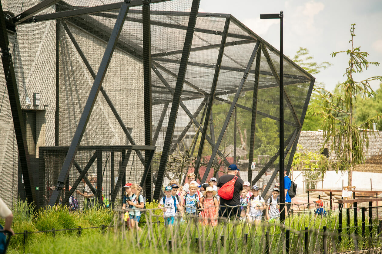  Ogród Zoologiczny w Zamościu (zdjęcie 1) - Autor: Kazimierz Chmiel