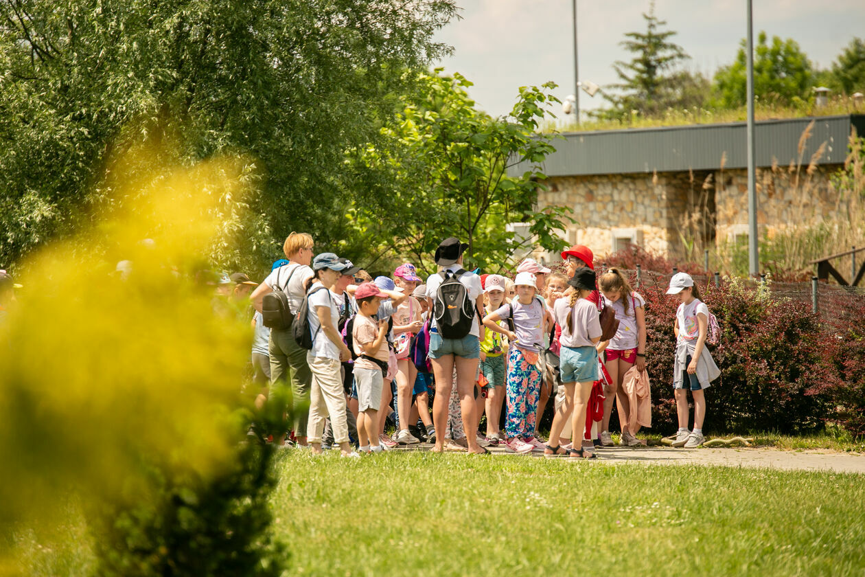  Ogród Zoologiczny w Zamościu (zdjęcie 1) - Autor: Kazimierz Chmiel