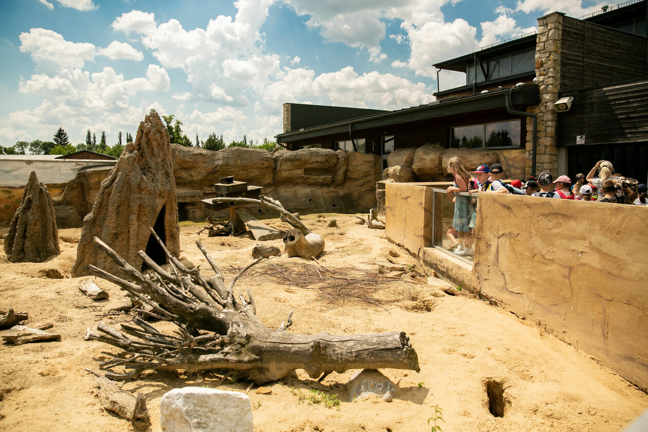  Ogród Zoologiczny w Zamościu (zdjęcie 1) - Autor: Kazimierz Chmiel