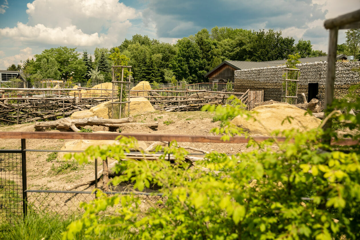  Ogród Zoologiczny w Zamościu (zdjęcie 1) - Autor: Kazimierz Chmiel