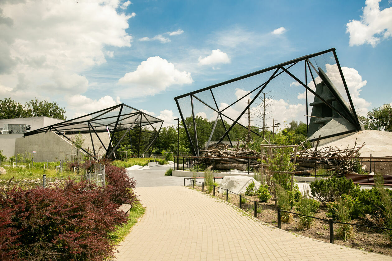  Ogród Zoologiczny w Zamościu (zdjęcie 1) - Autor: Kazimierz Chmiel