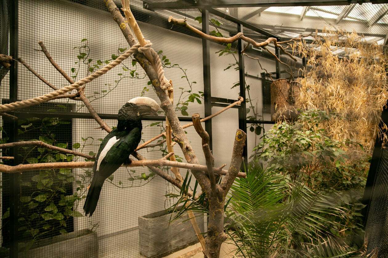  Ogród Zoologiczny w Zamościu (zdjęcie 1) - Autor: Kazimierz Chmiel