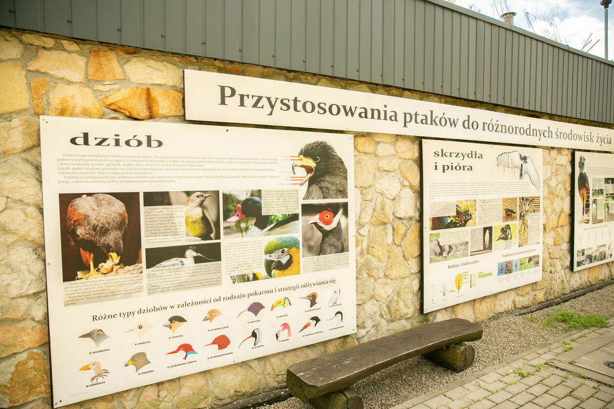  Ogród Zoologiczny w Zamościu (zdjęcie 1) - Autor: Kazimierz Chmiel