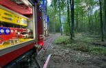 Podpalone auto, pozostawione w lesie pomiędzy Strzeszkowicami a Kreżnicą Jarą (zdjęcie 5)