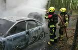 Podpalone auto, pozostawione w lesie pomiędzy Strzeszkowicami a Kreżnicą Jarą (zdjęcie 4)