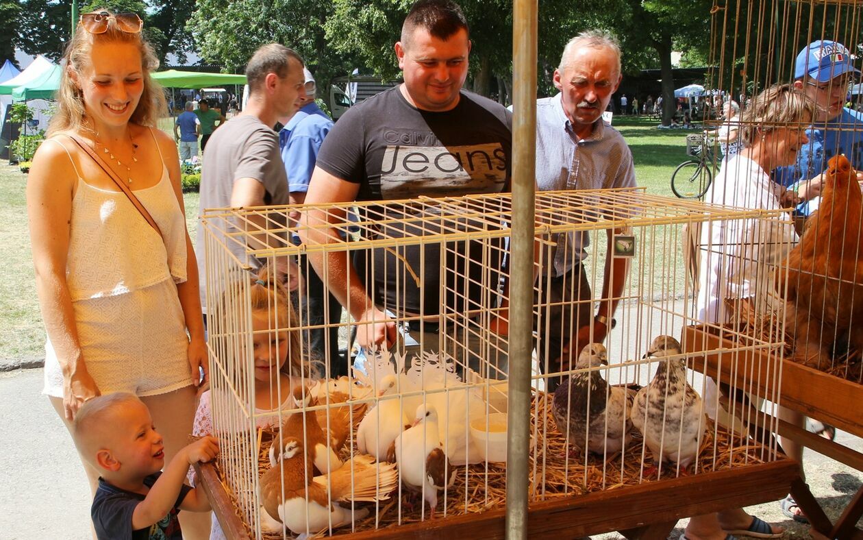  Dzień Otwartych Drzwi LODR w Końskowoli (zdjęcie 1) - Autor: Radosław Szczęch