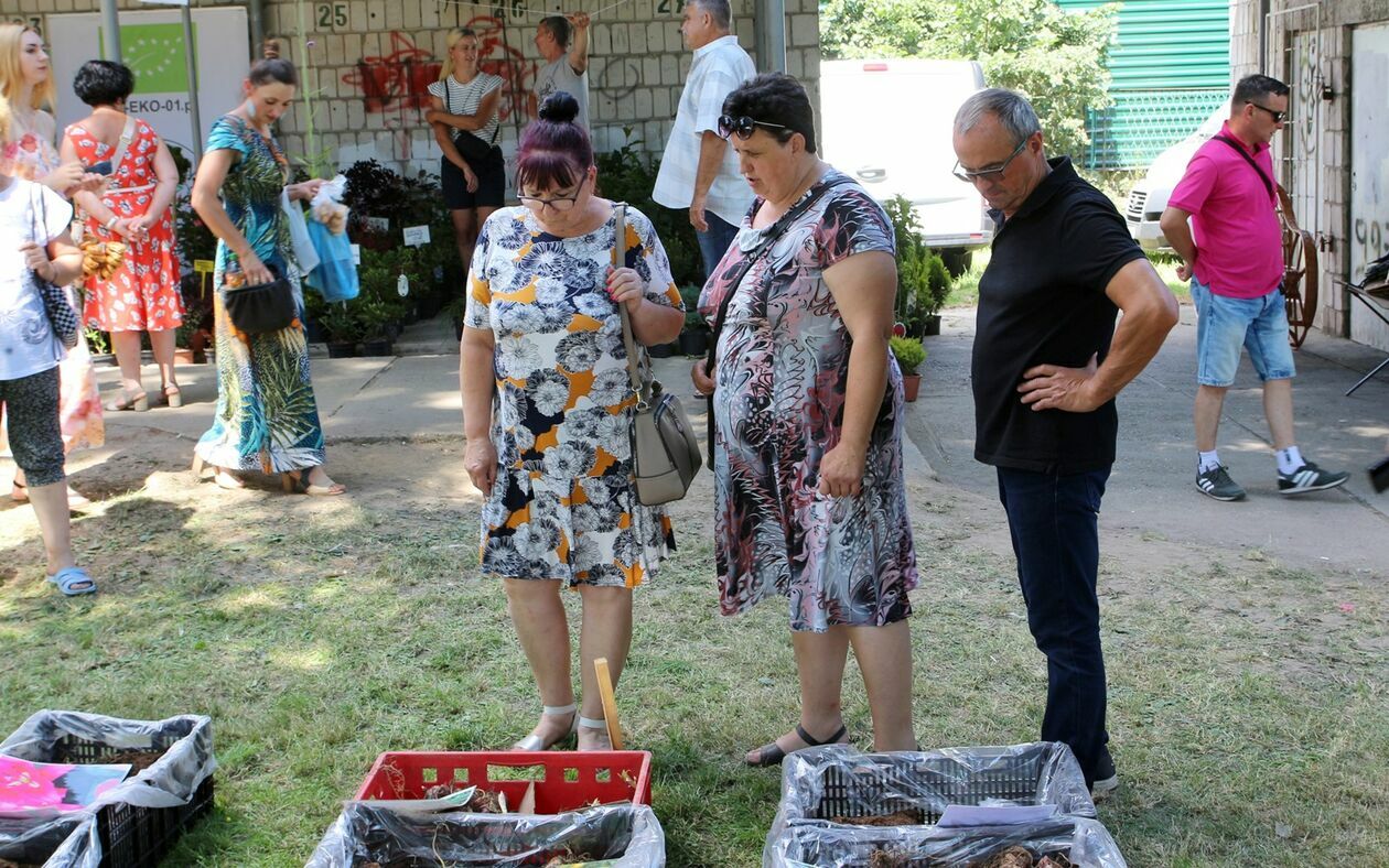  Dzień Otwartych Drzwi LODR w Końskowoli (zdjęcie 1) - Autor: Radosław Szczęch