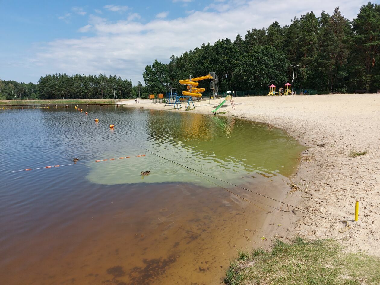  Sinice w zalewie w Biłgoraju (zdjęcie 2) - Autor: PSSE Biłgoraj