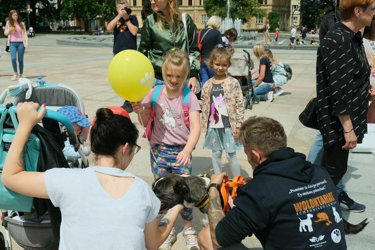 Wybierz właśnie Mnie! - akcja promująca adopcję zwierząt na Placu Litewskim