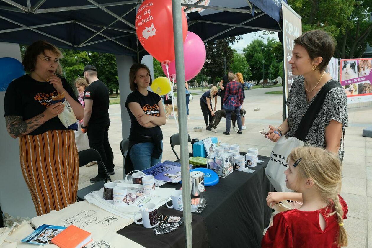  Wybierz właśnie Mnie! - akcja promująca adopcję zwierząt na Placu Litewskim (zdjęcie 15) - Autor: Maciej Kaczanowski