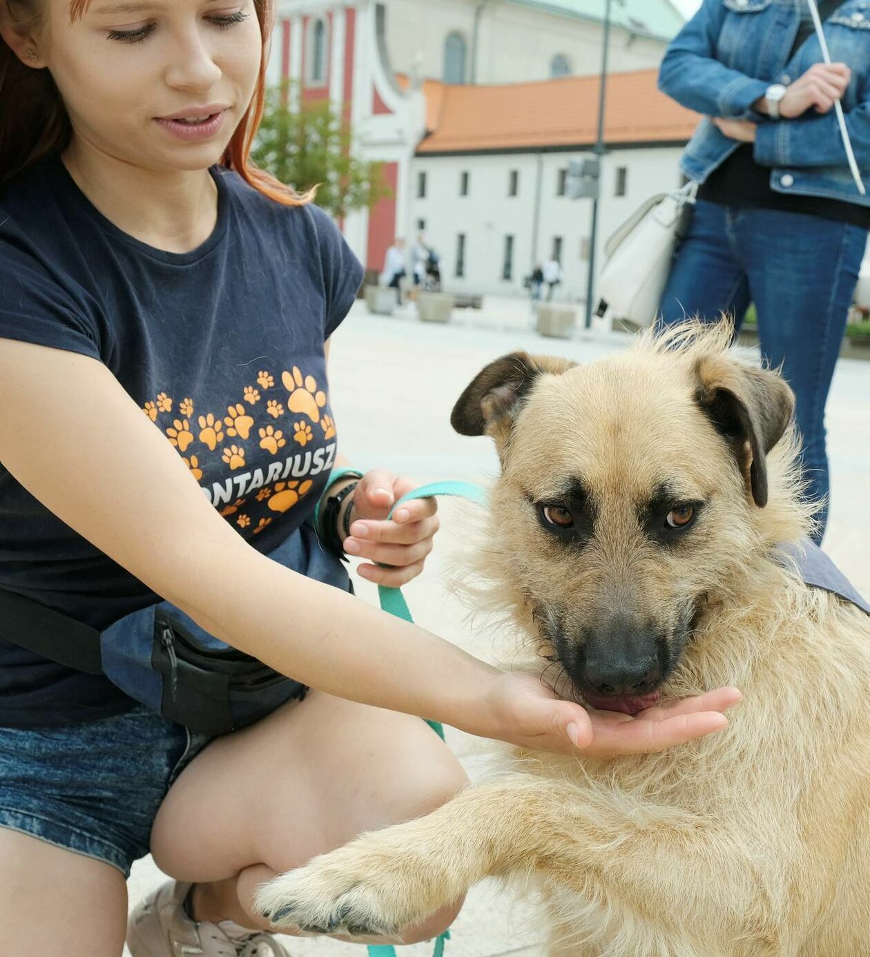  Wybierz właśnie Mnie! - akcja promująca adopcję zwierząt na Placu Litewskim (zdjęcie 28) - Autor: Maciej Kaczanowski