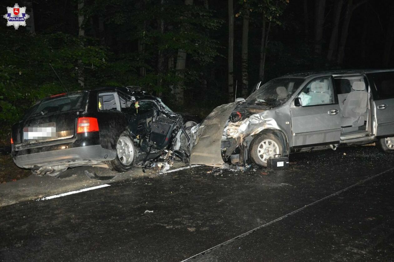  Śmiertelny wypadek w Pobołowicach-Kolonii  - Autor: Policja