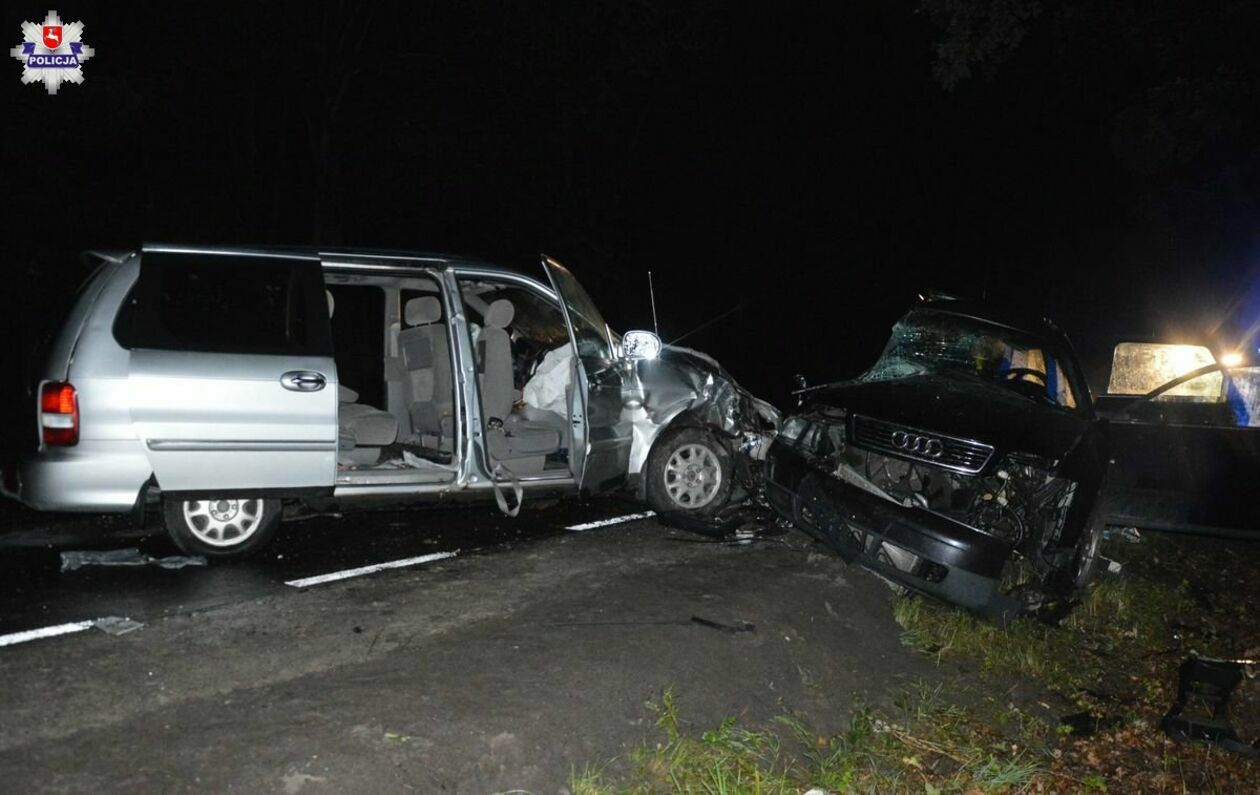 Śmiertelny wypadek w Pobołowicach-Kolonii - Autor: Policja