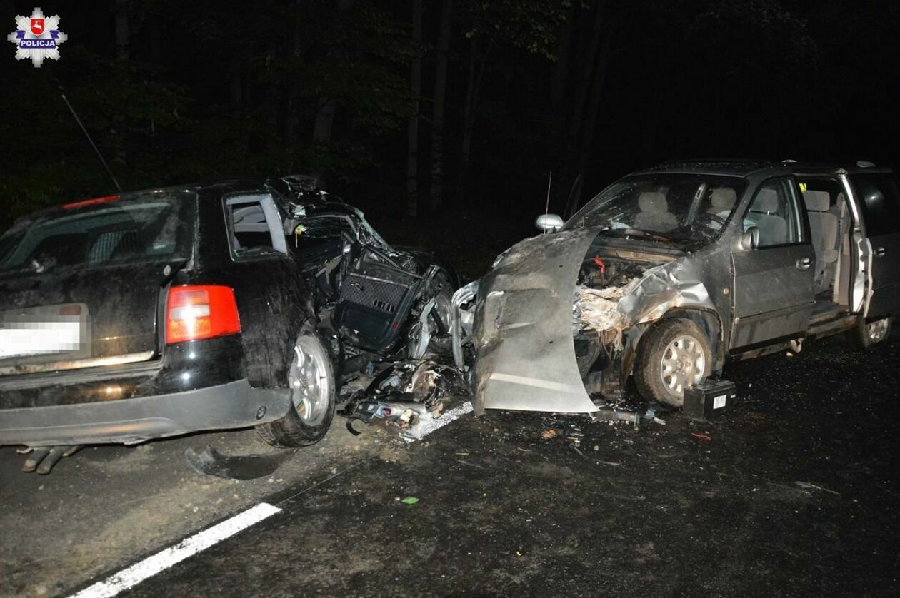  Śmiertelny wypadek w Pobołowicach-Kolonii (zdjęcie 2) - Autor: Policja