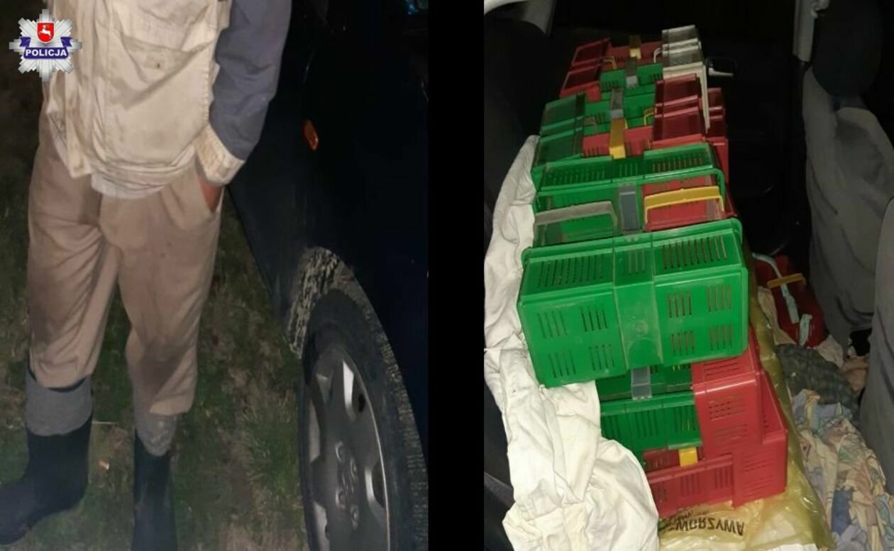 Próba kradzieży malin w Moniakach - Autor: Policja