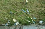 Sterty śmieci na łące przy ul. Rusałki (zdjęcie 5)