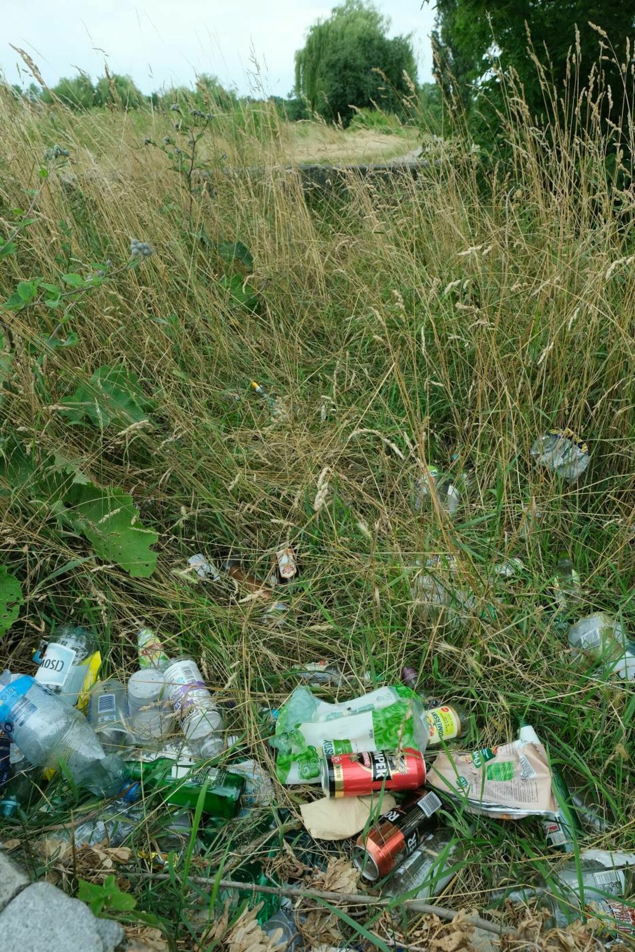  Sterty śmieci na łące przy ul. Rusałki (zdjęcie 11) - Autor: Maciej Kaczanowski