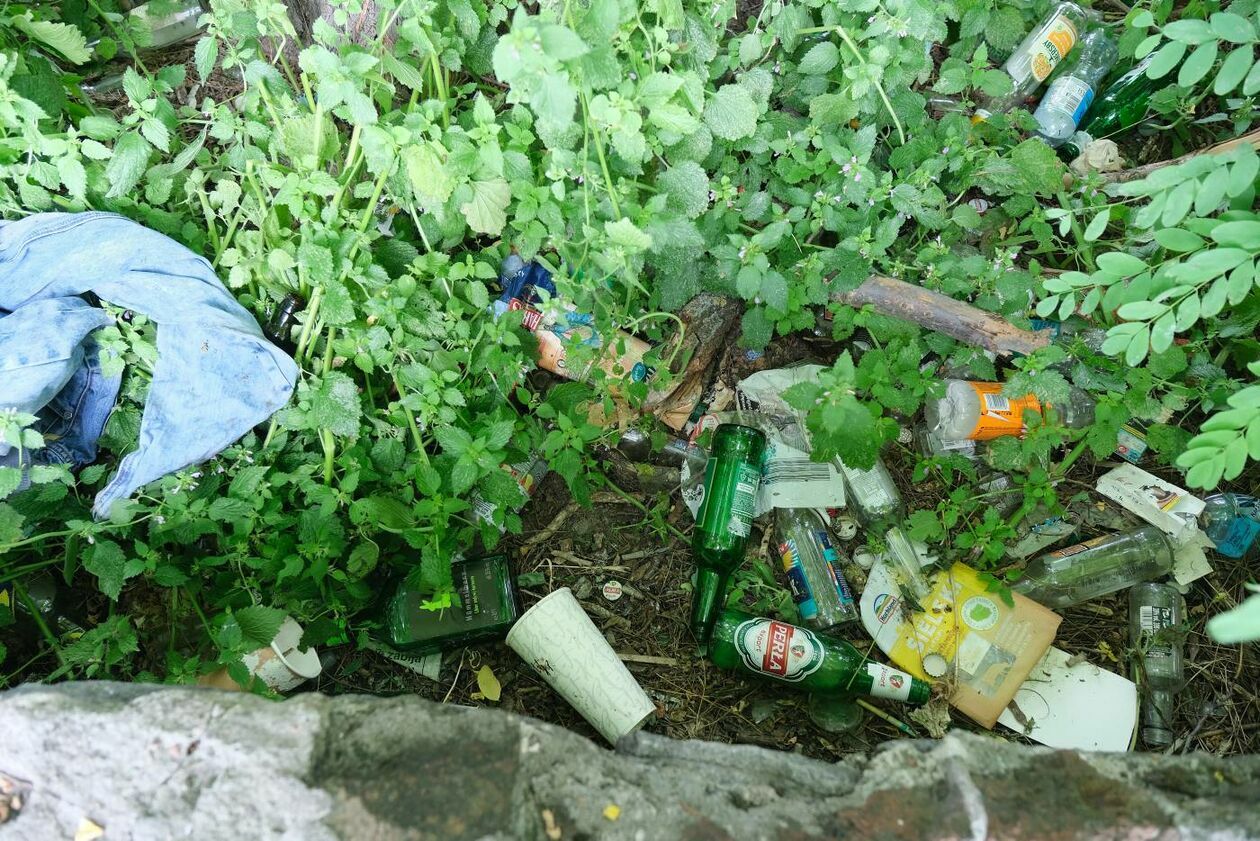  Sterty śmieci na łące przy ul. Rusałki (zdjęcie 8) - Autor: Maciej Kaczanowski