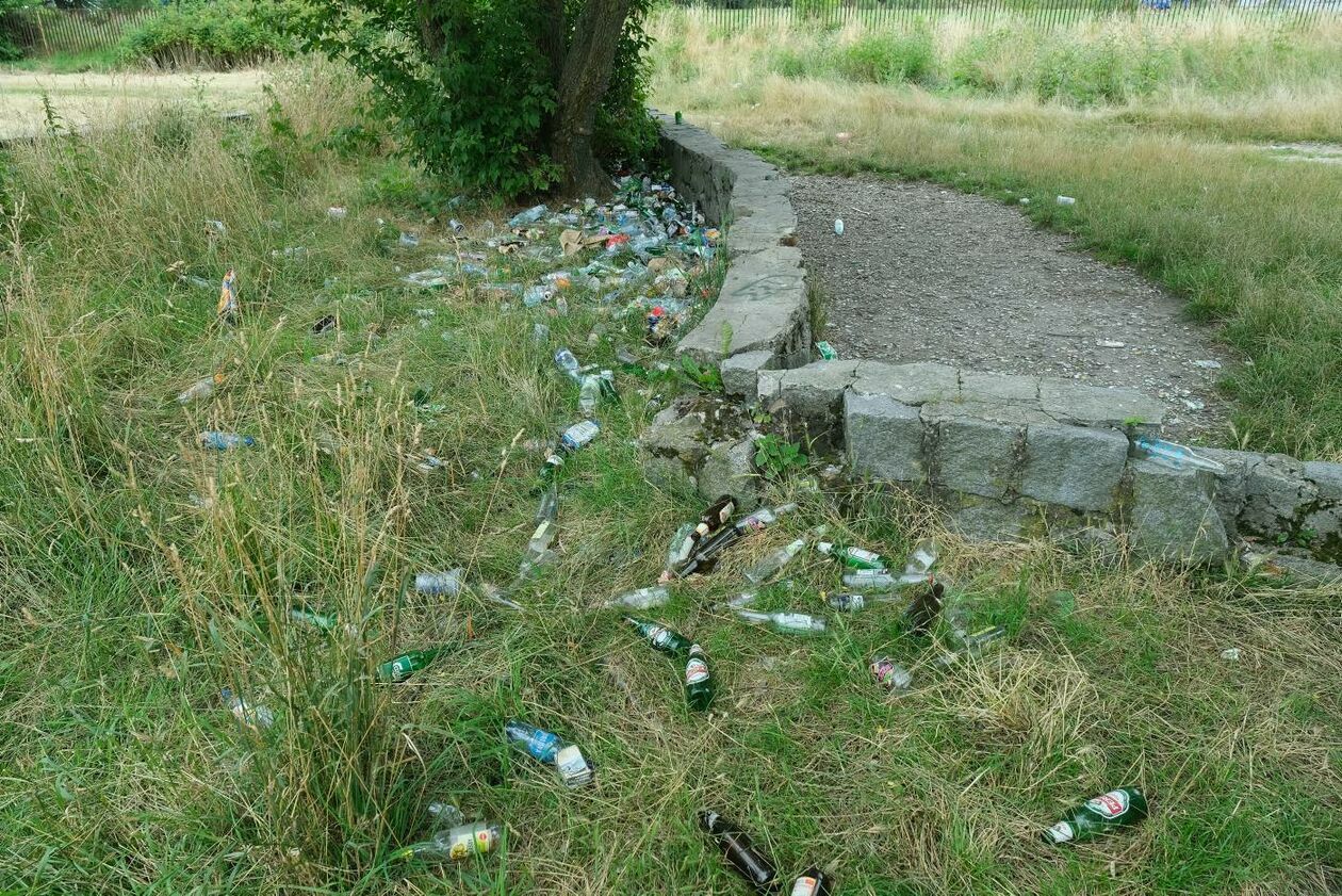  Sterty śmieci na łące przy ul. Rusałki (zdjęcie 10) - Autor: Maciej Kaczanowski