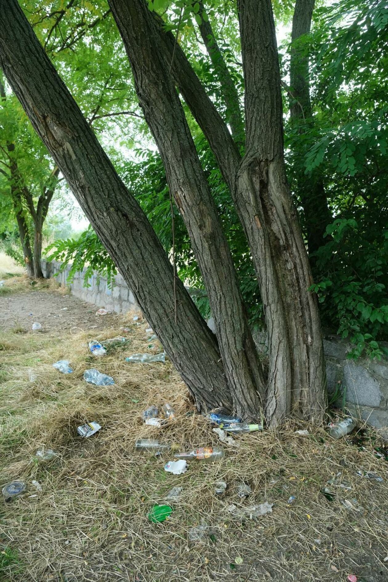  Sterty śmieci na łące przy ul. Rusałki (zdjęcie 7) - Autor: Maciej Kaczanowski