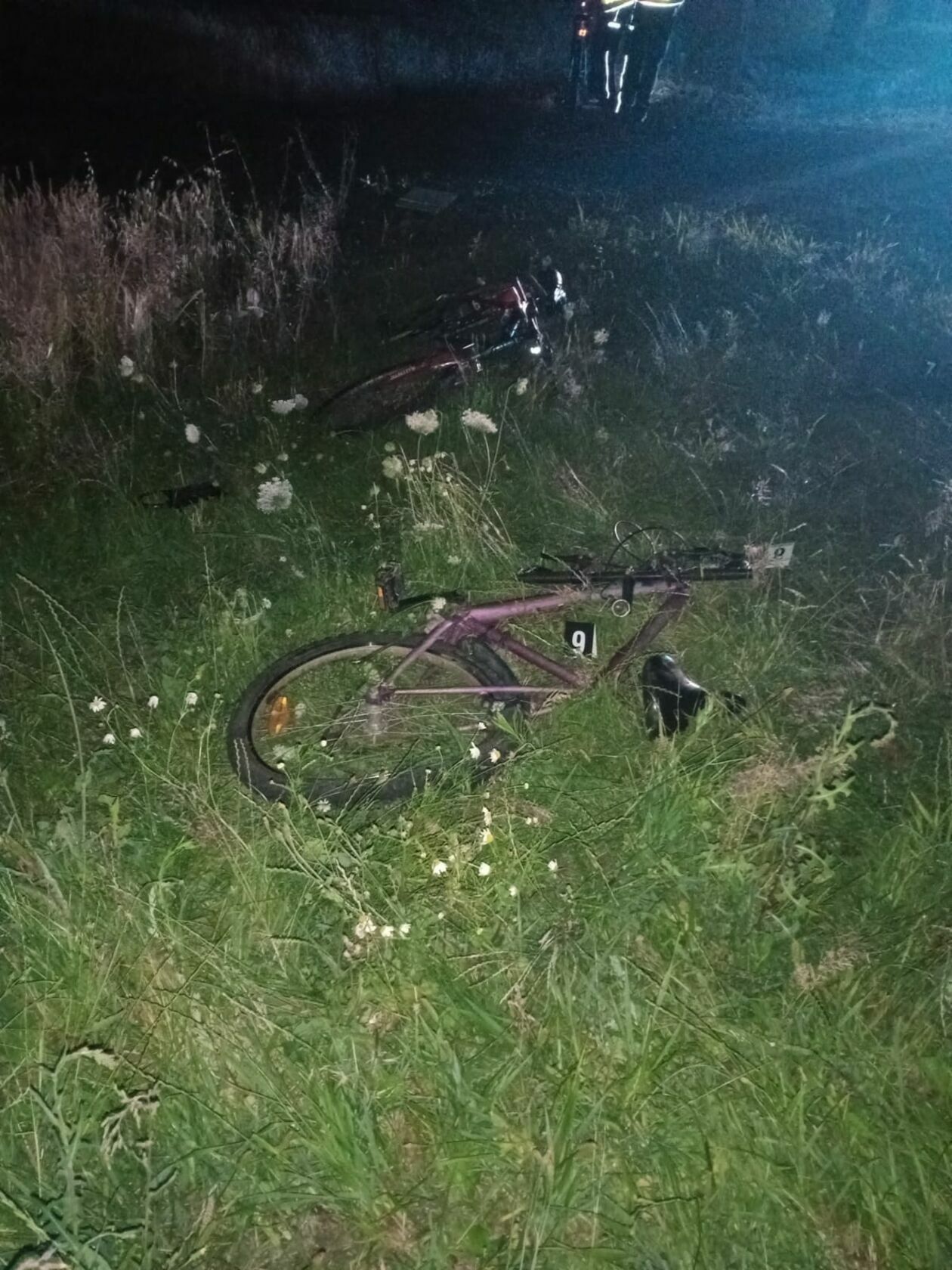  Śmiertelny wypadek w Zakrzówku. Nie żyje 14-letnia rowerzystka (zdjęcie 2) - Autor: Policja