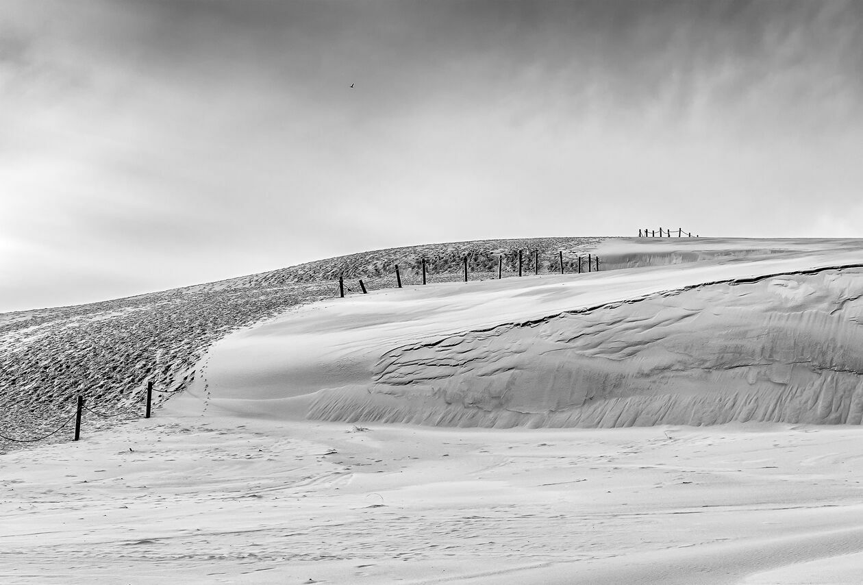 Przegląd Fotografii Zamojskiej - najlepsze zdjęcia