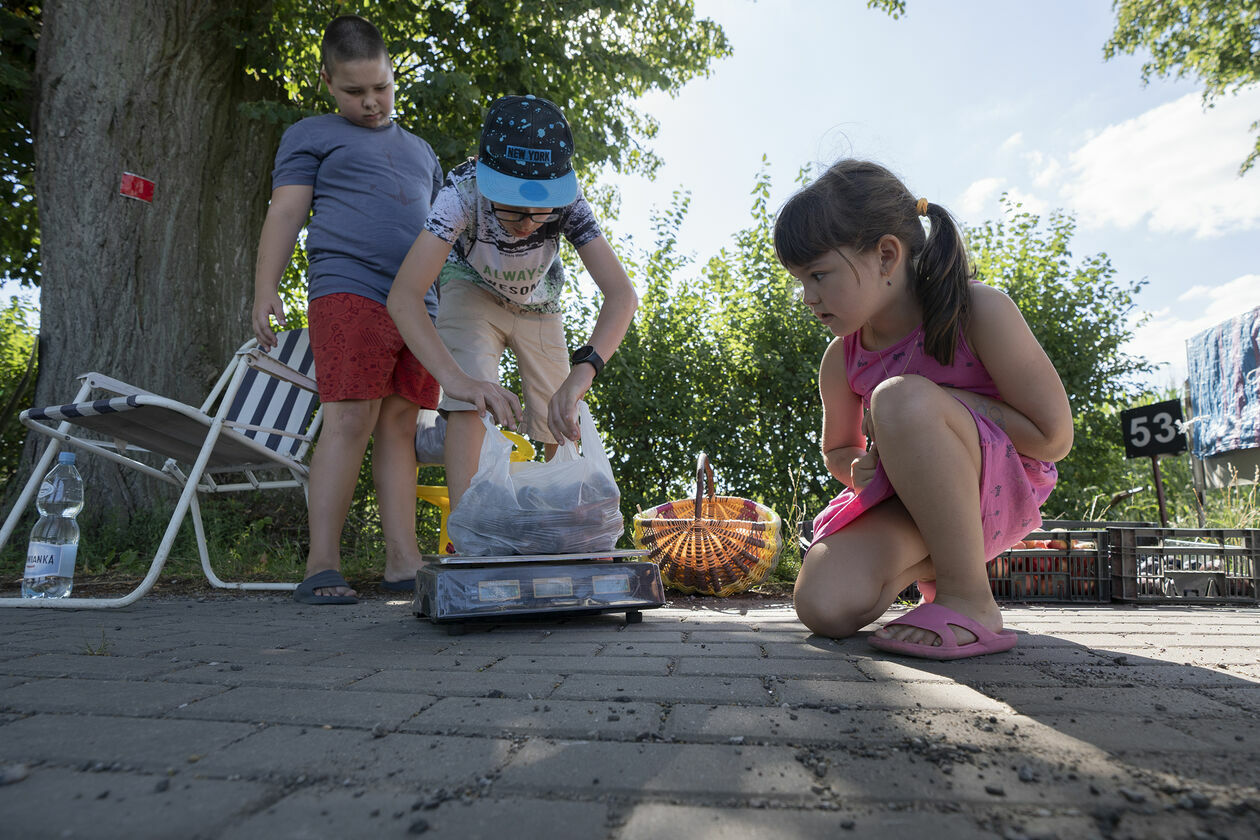  Krasienin. Dzieci sprzedają owoce (zdjęcie 8) - Autor: Michał Siudziński