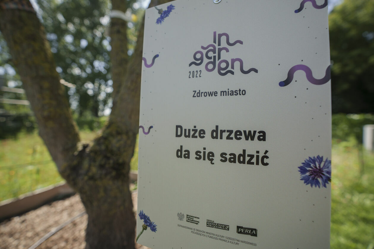  Festiwal In Garden w Lublinie 2022 (zdjęcie 7) - Autor: Michał Siudziński