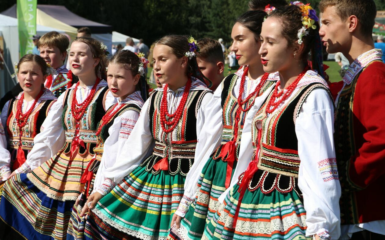  Dożynki powiatu puławskiego w Górze Puławskiej (zdjęcie 31) - Autor: Radosław Szczęch