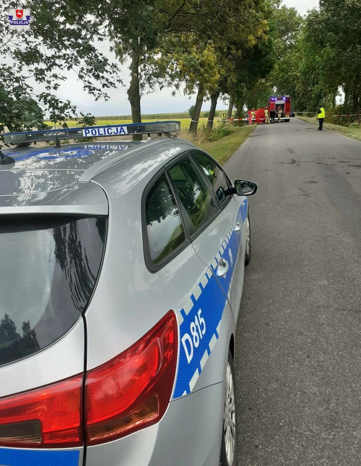  Wypadek na drodze Ryki - Rososz  - Autor: Policja