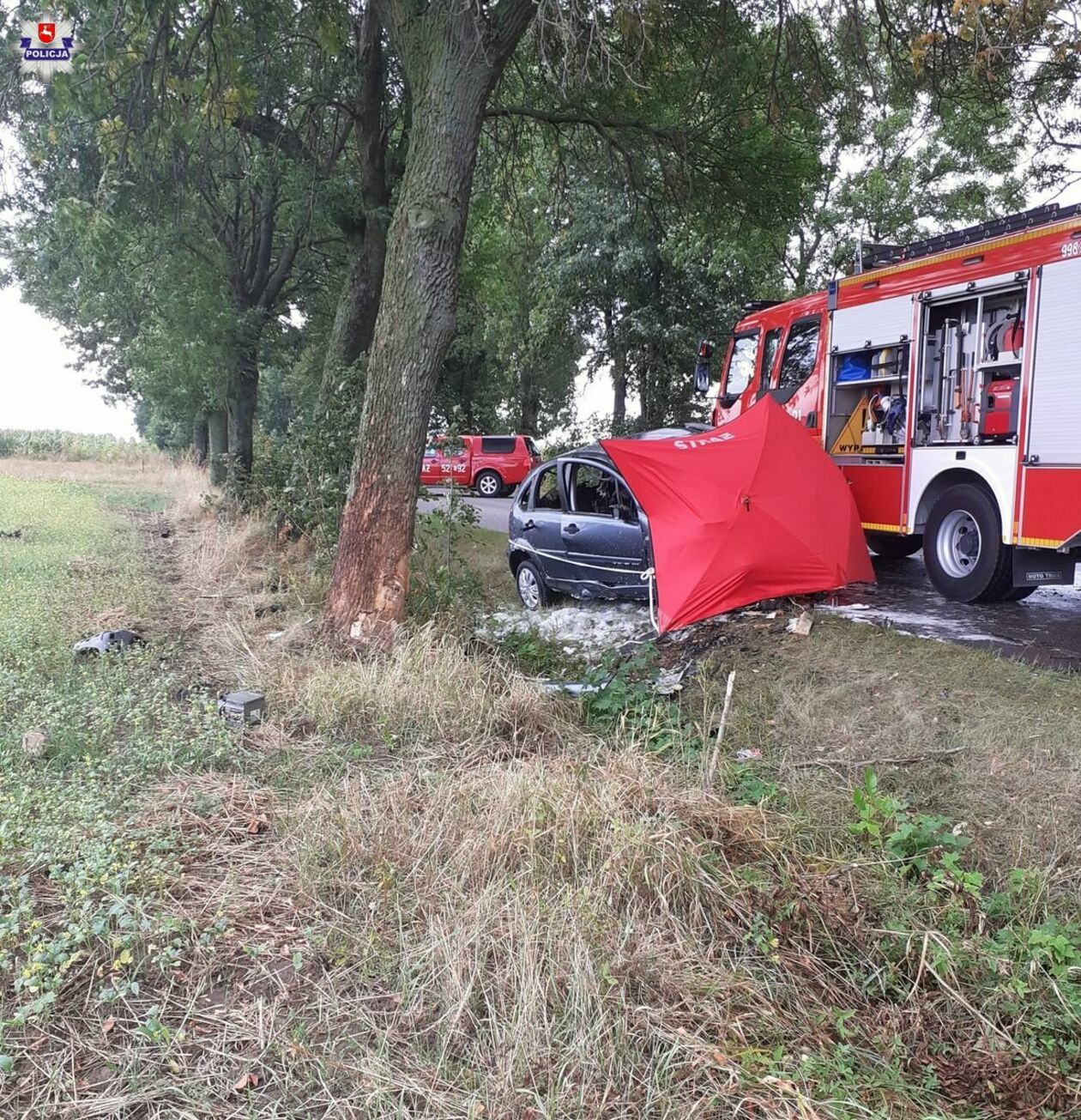  Wypadek na drodze Ryki - Rososz (zdjęcie 3) - Autor: Policja