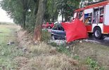 Wypadek na drodze Ryki - Rososz (zdjęcie 3)