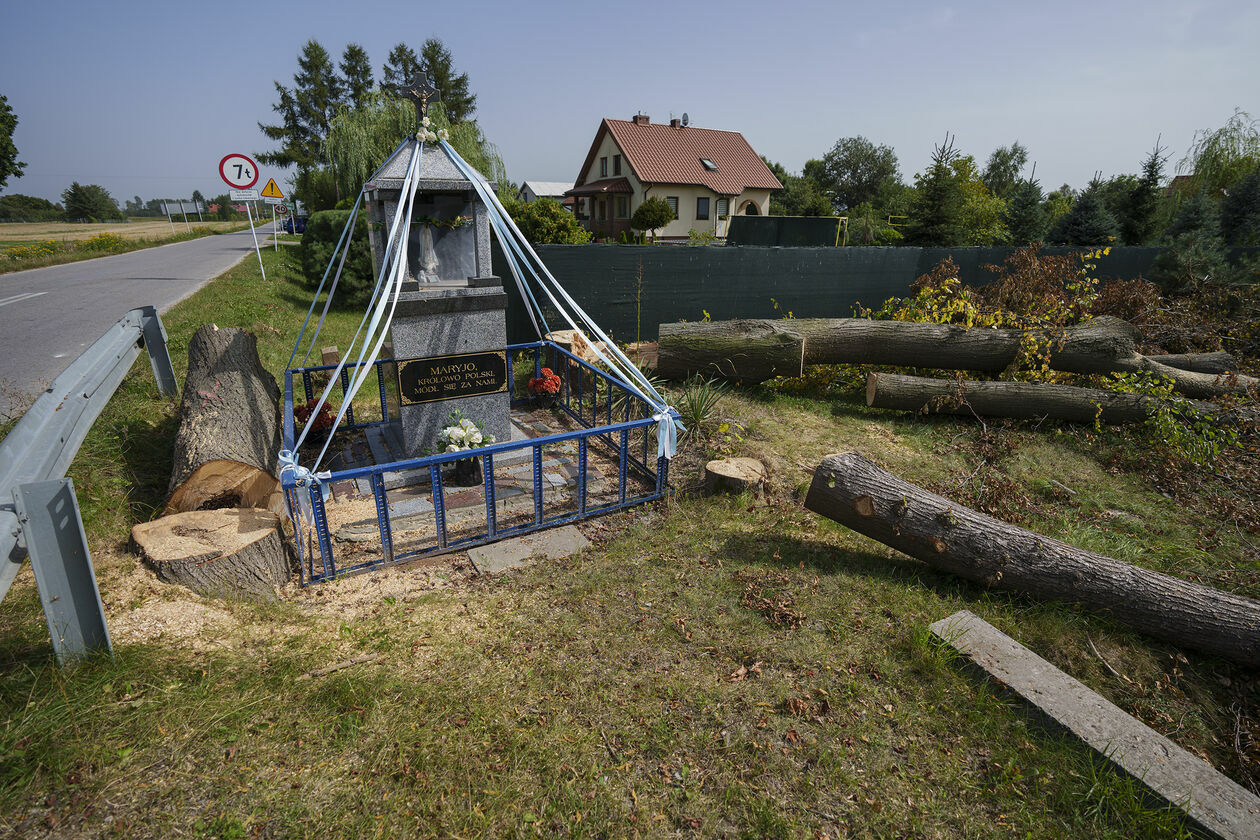  Wycinka 720 drzew na drodze wojewódzkiej 820 (zdjęcie 17) - Autor: Michał Siudziński