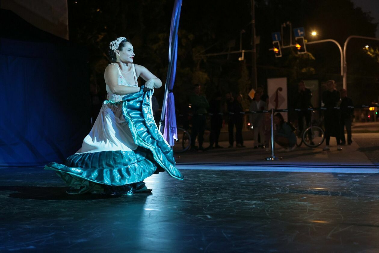  Gala pasjonatów tańca w powietrzu (zdjęcie 41) - Autor: Piotr Michalski