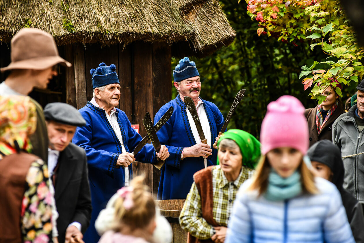  Obieraczki kapusty w Muzeum Wsi Lubelskiej (zdjęcie 25) - Autor: Tomasz Tylus