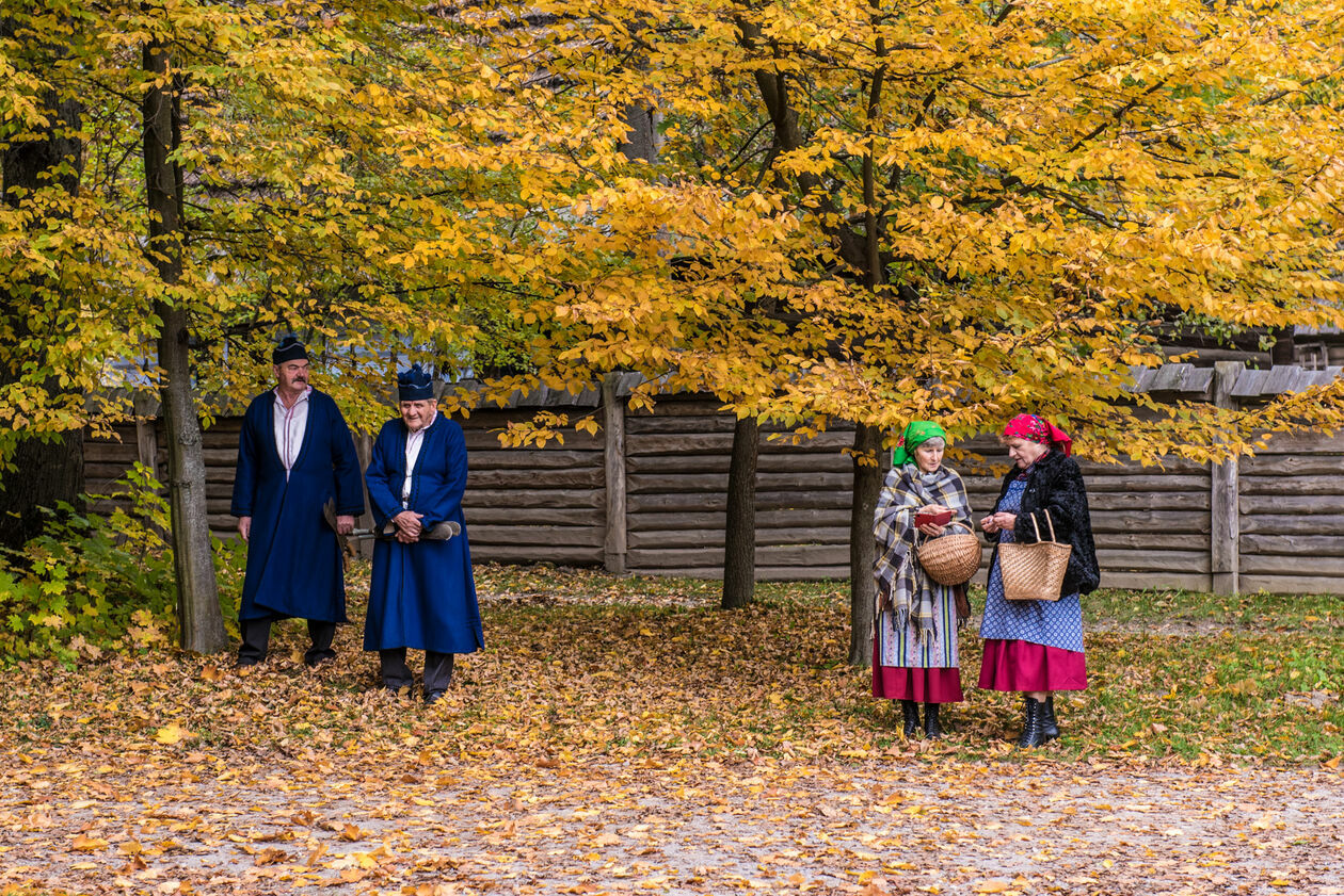  Obieraczki kapusty w Muzeum Wsi Lubelskiej (zdjęcie 30) - Autor: Tomasz Tylus