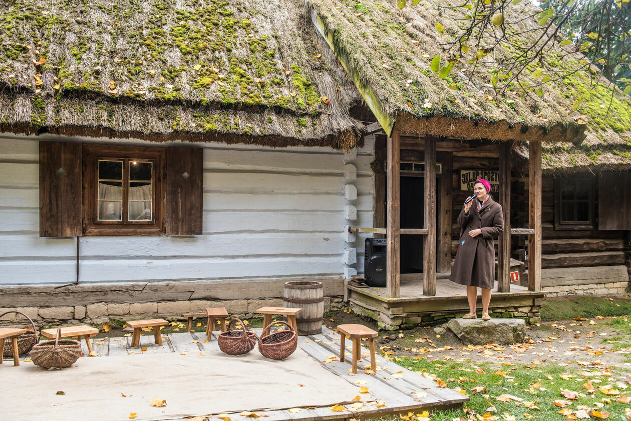  Obieraczki kapusty w Muzeum Wsi Lubelskiej (zdjęcie 29) - Autor: Tomasz Tylus